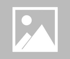 Kaiyun-姆巴佩迎来十五赛季高光表现，公牛球迷沸腾！的简单介绍